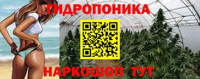 прущие крисы Волжский