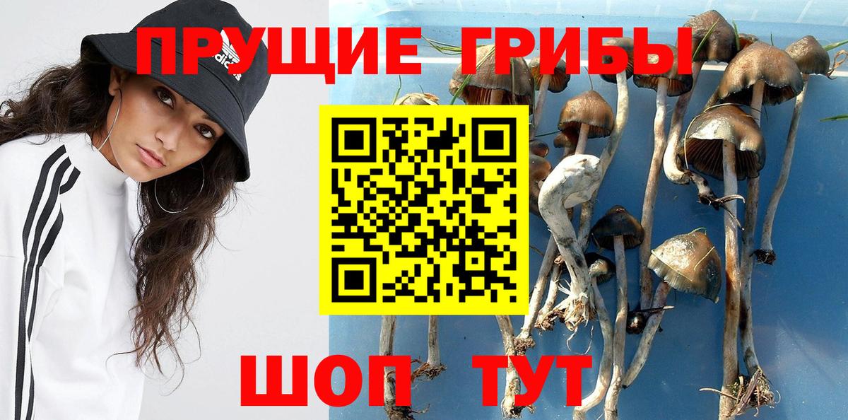 Псилоцибиновые грибы ЛСД  Вход с VPN  купить наркотик  Кондопога  Псилоцибиновые грибы ЛСД 